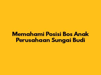 Memahami Posisi Bos Anak Perusahaan Sungai Budi